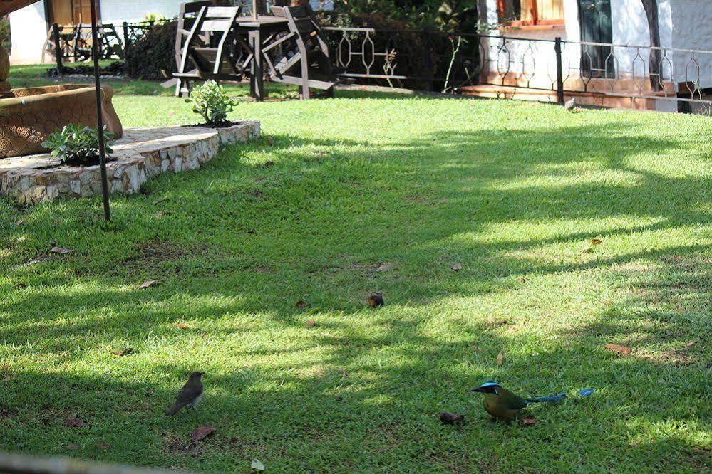 Ayenda Llanogrande Inn Rionegro Exterior photo